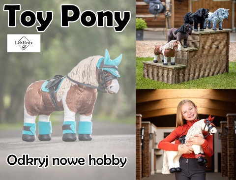 Toy Pony