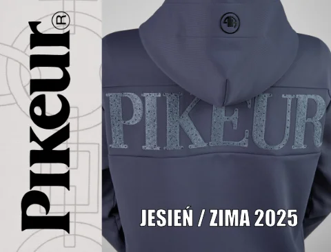 Pikeur_HW_2025