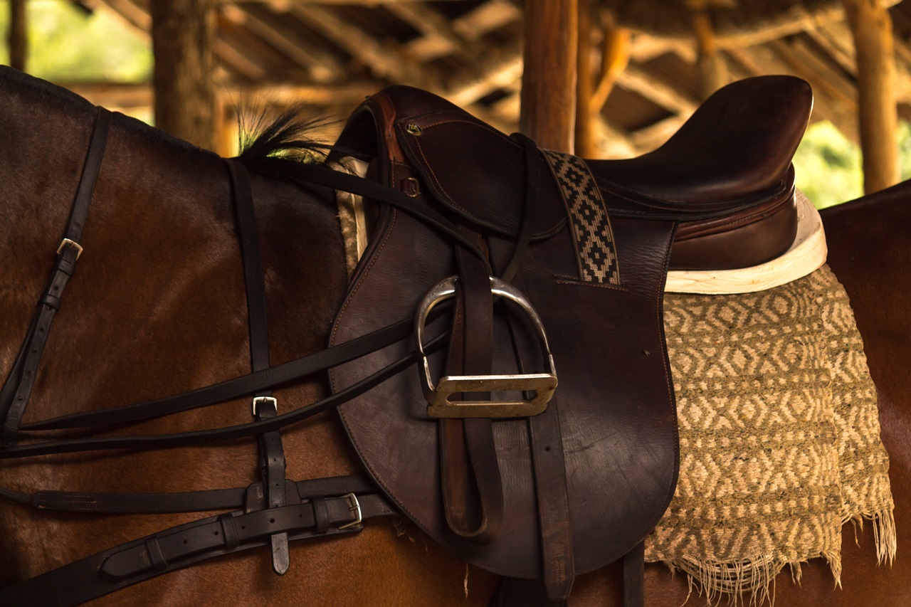 Jakie akcesoria jeździeckie są niezbędne dla początkującego jeźdźca?