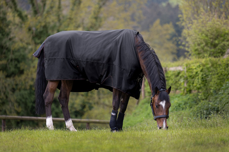 Derka Eskadron Gamma Meshlining czarna