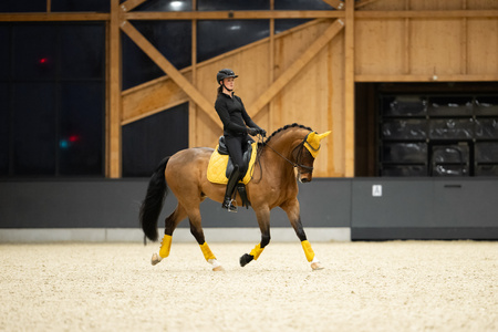 Czaprak Eskadron Cotton Platinum żółty