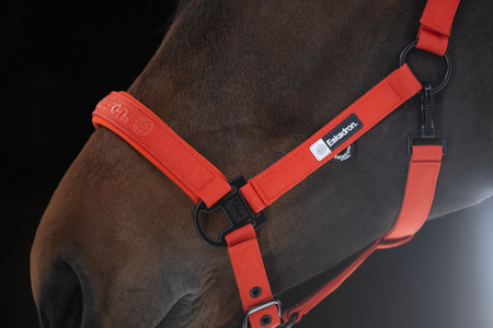 Kantar Eskadron Sparkle Double Pin Dynamic czerwony