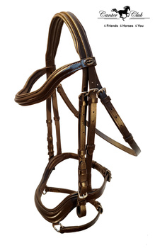 Ogłowie Canter Club Anatomica brązowe