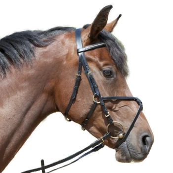 Ogłowie Kieffer Carmen czarne