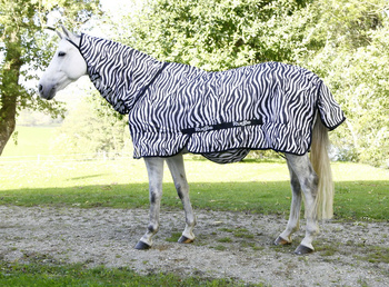Derka Covalliero RugBe Zebra