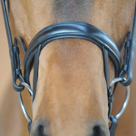 Ogłowie Kavalkade Diana IR czarne