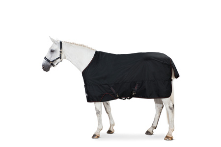 Derka Eskadron Gamma Meshlining czarna