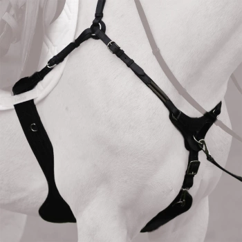 Popręg z fartuchem Kavalkade z 5-puntowym napierśnikiem SecureX czarny