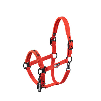 Kantar Eskadron Double Pin Dynamic czerwony