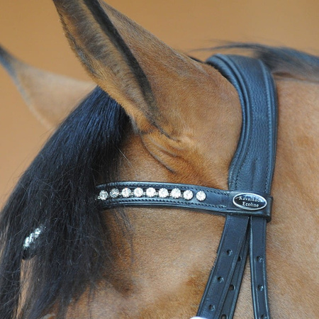 Ogłowie Kavalkade Diana IR czarne