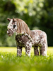 Toy Pony LeMieux Appaloosa Montana