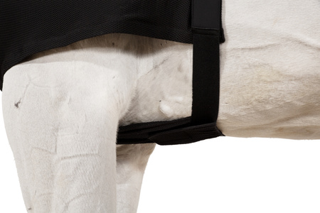 Koszulka pod derkę Eskadron Chest Protector czarna