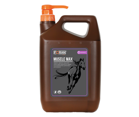 Foran Muscle-Max rozbudowa oraz regeneracja mięśni