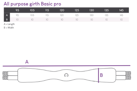 Popręg QHP Basic Pro czarny
