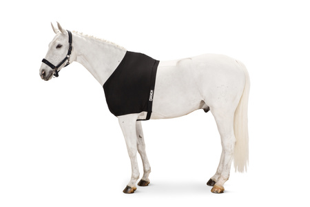 Koszulka pod derkę Eskadron Chest Protector czarna