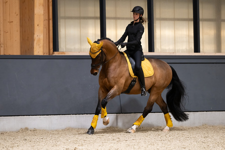 Czaprak Eskadron Cotton Platinum żółty