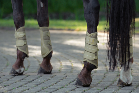 Ochraniacze Eskadron Mesh Heritage kardamon