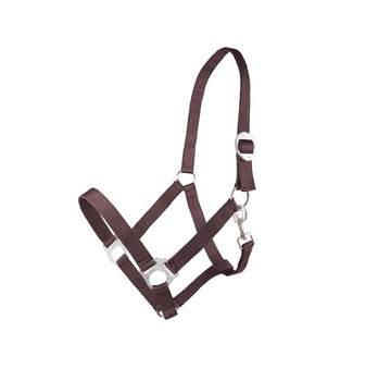 Kantar Basis brązowy