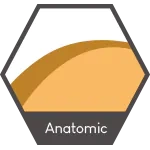 Czaprak QHP Color niebieski