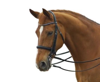 Ogłowie munsztukowe Busse Solibel Glamour K69 czarne