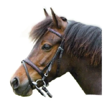 Ogłowie Kieffer Wiebke czarne