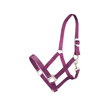 Kantar Basis bordowy