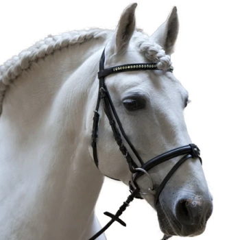 Nachrapnik Kieffer Kombi brązowy