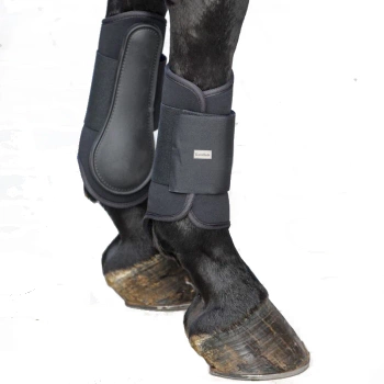 Ochraniacze Kavalkade Neopren tył czarne