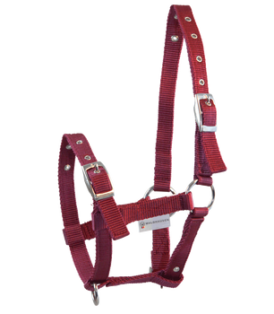 Kantar Waldhausen Triple źrebak bordowy