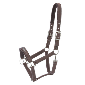 Kantar Schockemöhle Memphis III brązowy